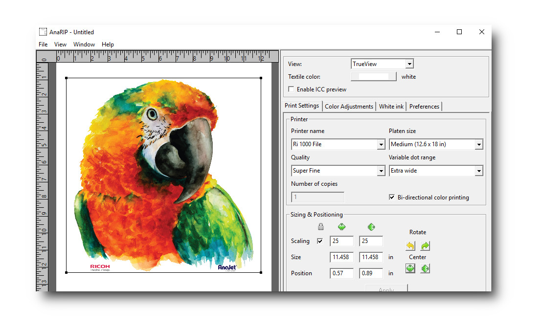 AnaRIP 4.0 RIP Software Installation Guide | Step-by-Step Tutorial ...