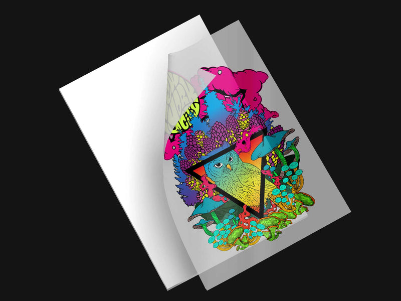 IColor Transfer Frequently Asked Questions