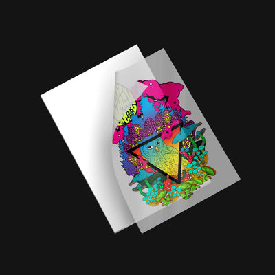 IColor Transfer Frequently Asked Questions