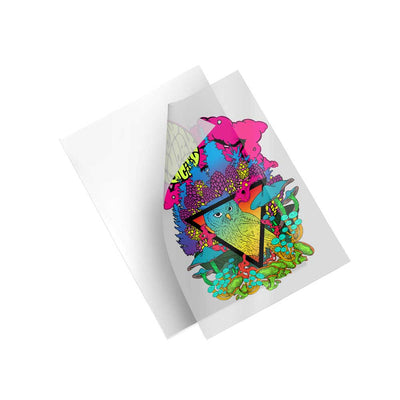 iColor Prints not coming out well? (scratches smudges, ghosting etc.)