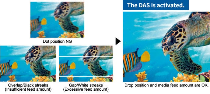 Dynamic Adjustment System