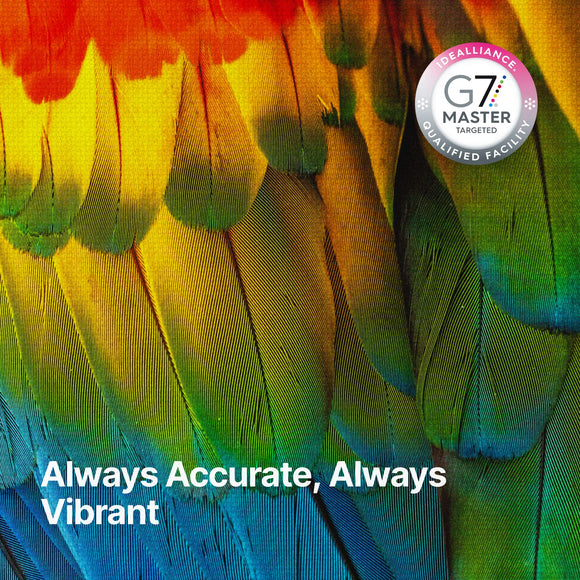 GPI Supplies xTool DTF Apparel Printer Film Rolls - 100m