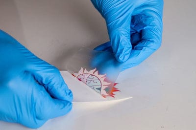 Roland Media Roland Graphic UV Transfer System Film Kit