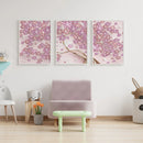 Roland Media Roland Semi-Gloss Adhesive Canvas