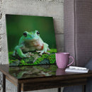 Roland Media Roland Semi-Gloss Adhesive Canvas