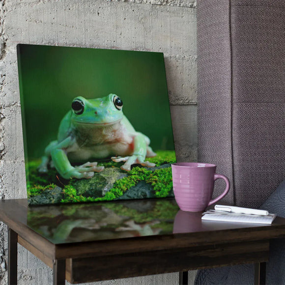 Roland Media Roland Semi-Gloss Adhesive Canvas