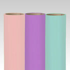 Siser PSV Siser EasyPSV Starling Matte 10yd