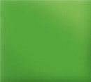 Siser Media Apple Green Siser Easy Puff 12" Vinyl | 10yd