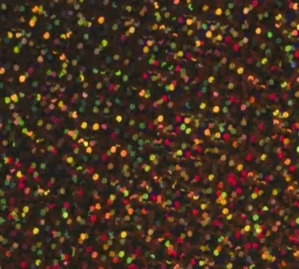 Siser Media Brown Siser Holographic 12" Vinyl | 50yd