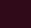 Siser Media Dark Maroon Siser EasyWeed 12" Vinyl | 25yd
