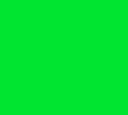 Siser Media Fluorescent Green Siser Brick 600 Fluorescent 20" Vinyl | 5yd