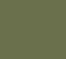 Siser Media Green Olive Siser EasyWeed 15" Vinyl | 50yd