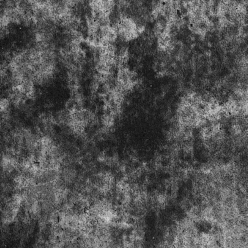 Siser Media Grunge Siser EasyPatterns Plus 12" Vinyl | 25yd