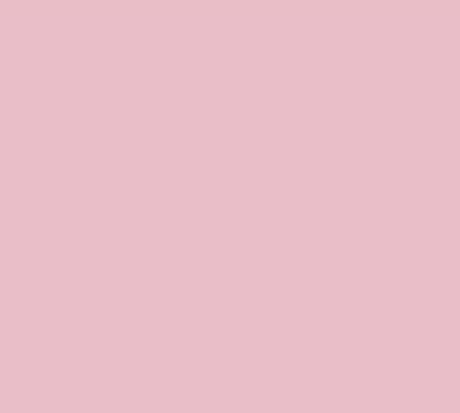 Siser Media Light Pink Siser EasyWeed 12" Vinyl | 25yd