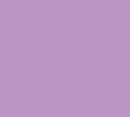 Siser Media Lilac Siser EasyWeed 15" Vinyl | 25yd