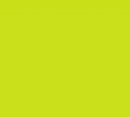 Siser Media Lime Siser EasyWeed 15" Vinyl | 25yd