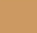 Siser Media Tan Siser EasyWeed 15" Vinyl | 25yd