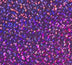 Siser Media Violet Siser Holographic 12" Vinyl | 5yd