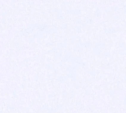 Siser Media White Siser StripFlock Pro 12" Vinyl | 25yd