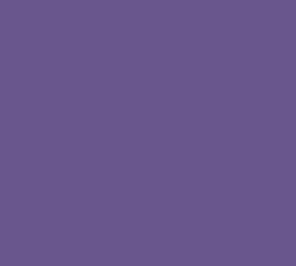 Siser Media Wicked Purple Siser EasyWeed 15" Vinyl | 25yd