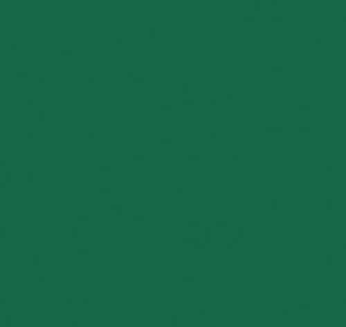 Thermoflex Media Kelly Green - 7 yards ThermoFlex Plus 20" Rolls CLOSE OUT