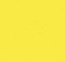 Thermoflex Media Lemon Yellow - 10 yards ThermoFlex Plus 20" Rolls CLOSE OUT