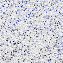 Thermoflex Media White Royal Blue 32ft CLOSE OUT SALE / 32ft GlitterFlex Ultra 20" CLOSE OUT SALE